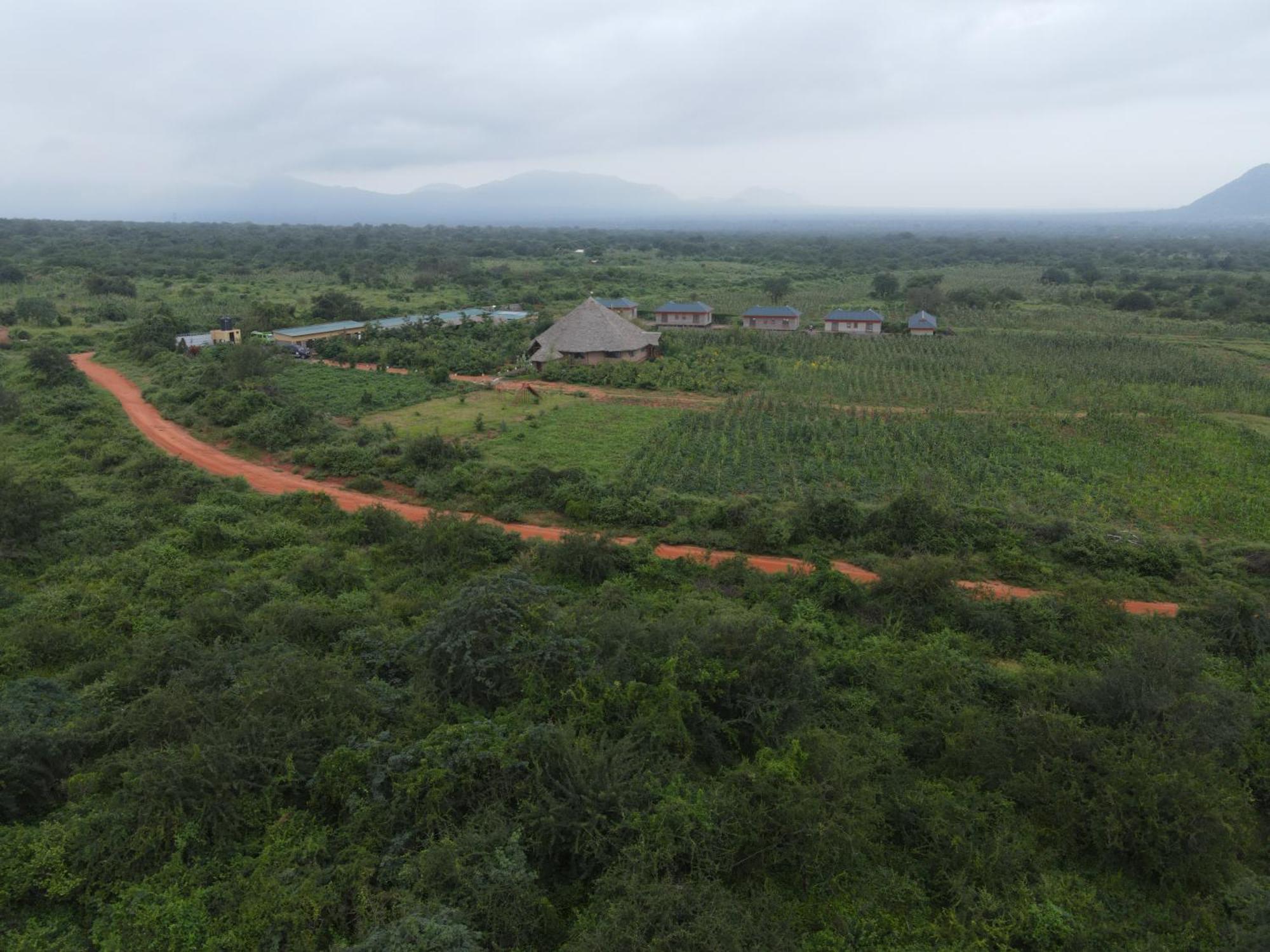 Tausa Tsavo Eco Lodge Voi エクステリア 写真