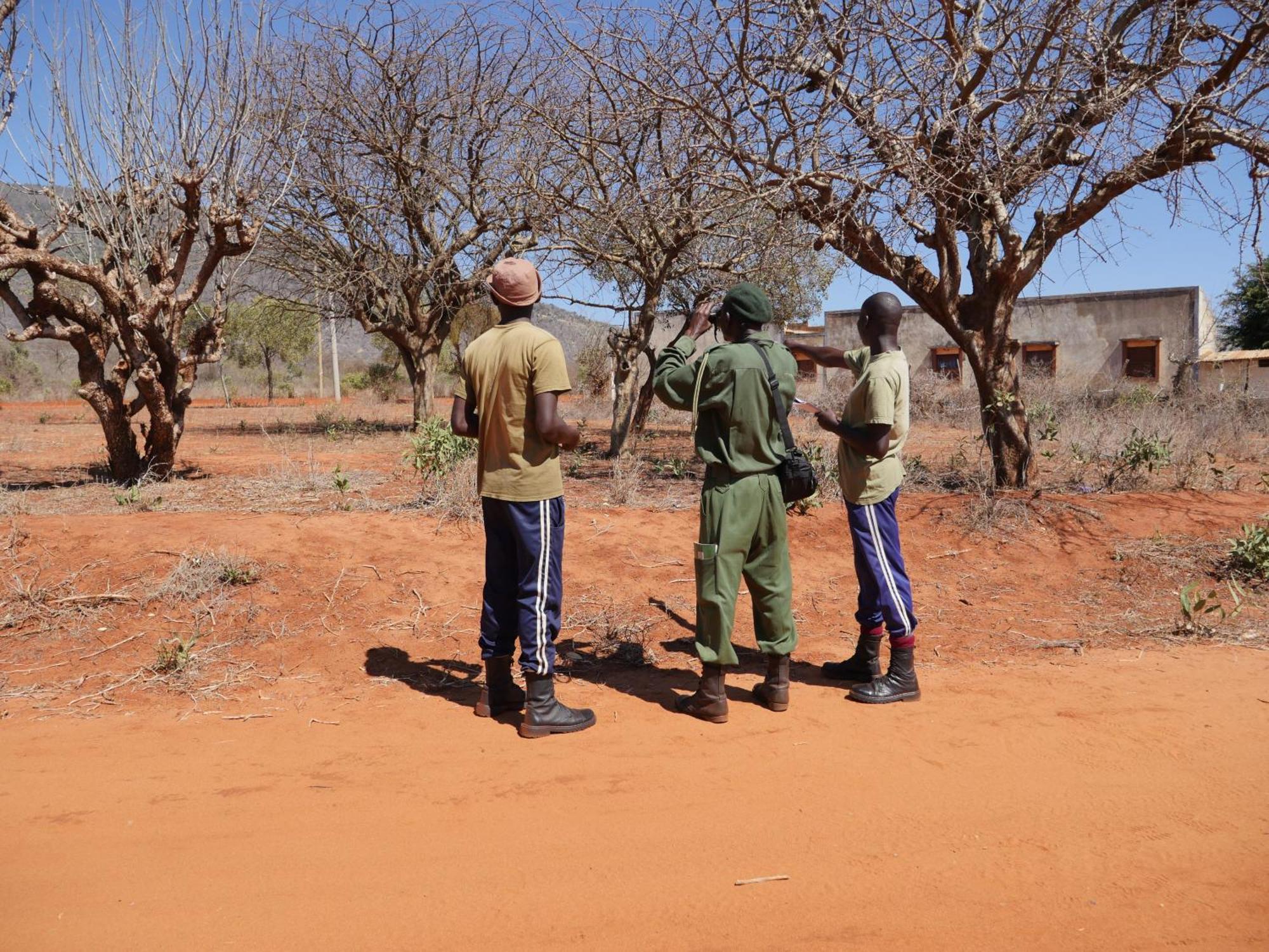 Tausa Tsavo Eco Lodge Voi エクステリア 写真