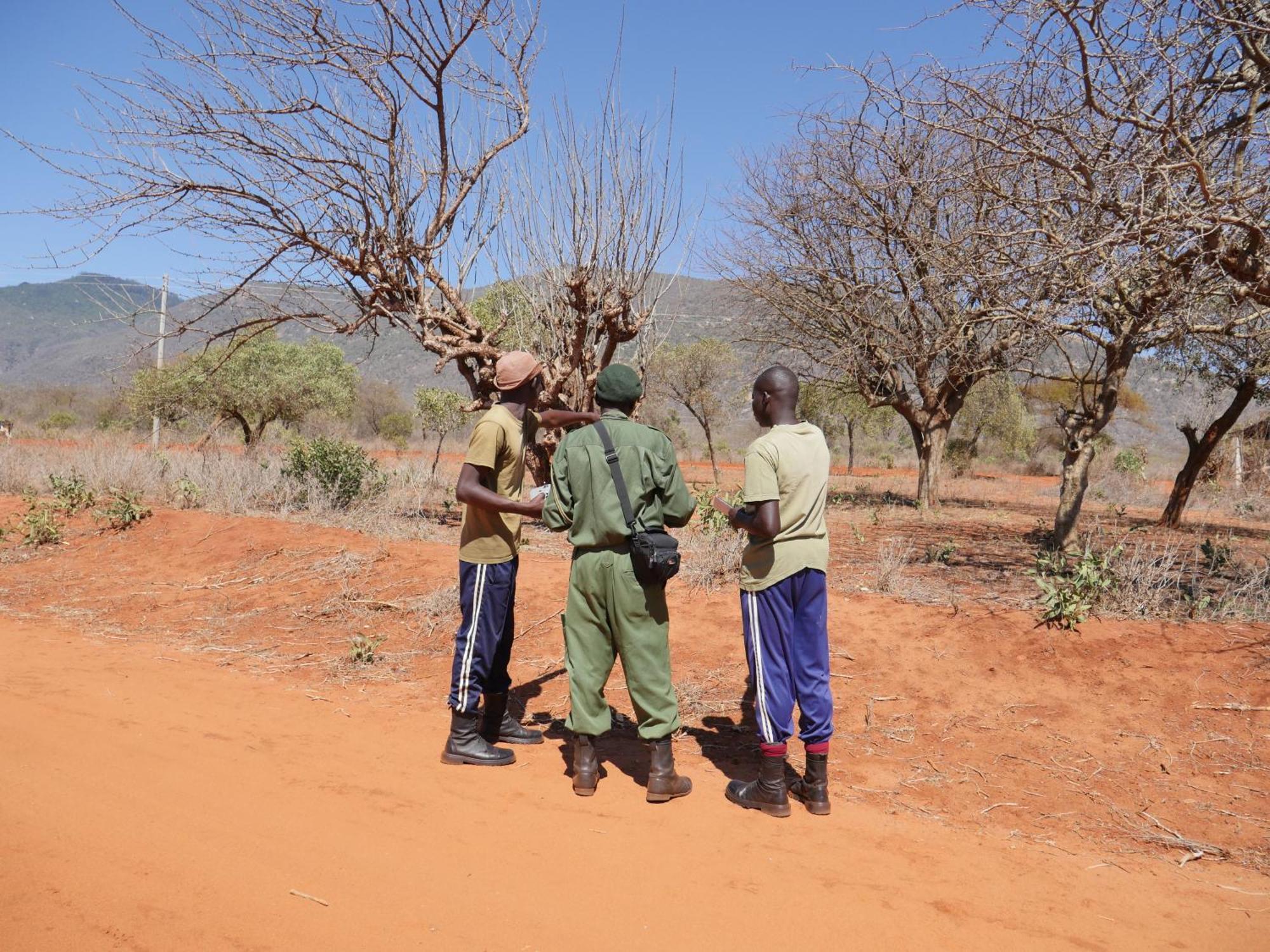 Tausa Tsavo Eco Lodge Voi エクステリア 写真